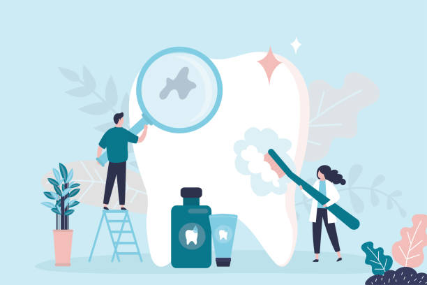Hanscom Af, MA Holistic Dental Care Services Company